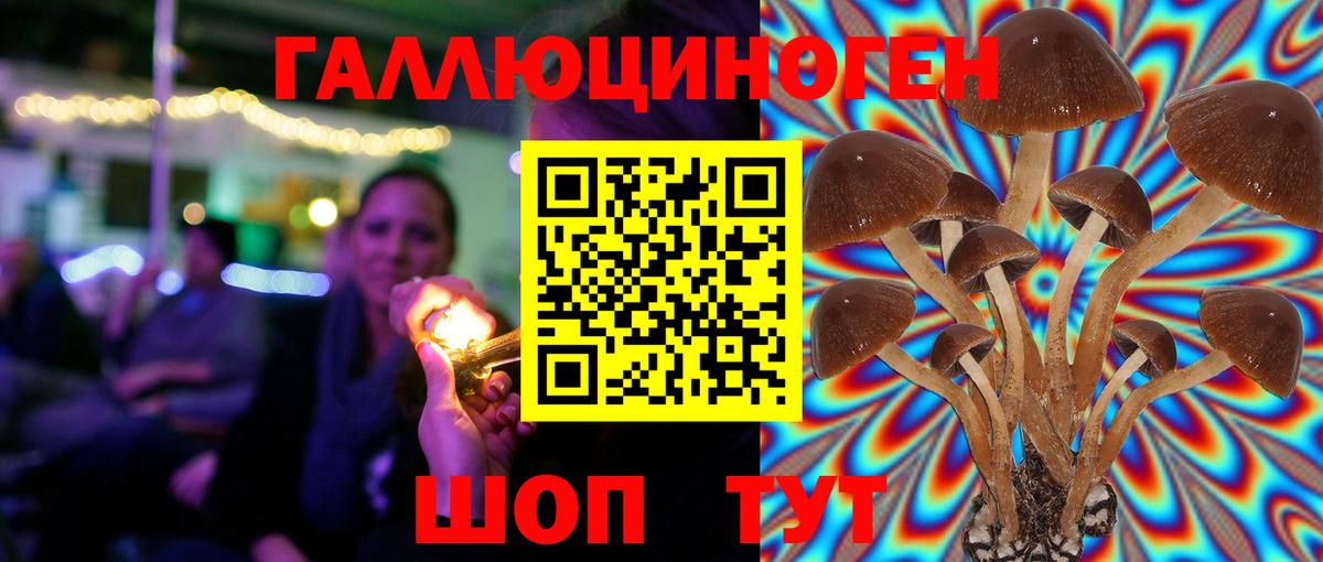 Псилоцибиновые грибы мицелий Якутск